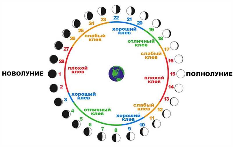 Влияние фазы Луны на поведение покупателей